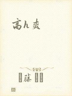 高h爽