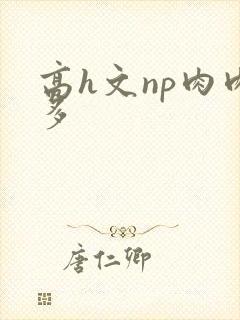 高h文np肉肉多