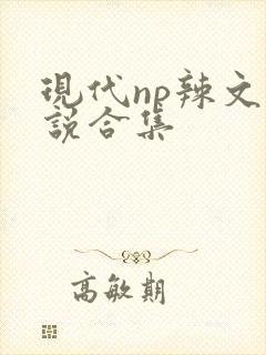 现代np辣文小说合集