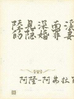 陆见深南溪陆少的隐婚罪妻