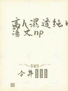 高h湿透纯肉放荡文np