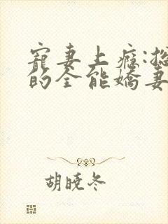 宠妻上瘾:总裁的全能娇妻封面