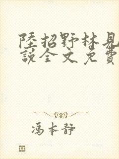 陆招野林见蔬小说全文免费阅读最新