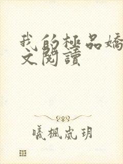 我的极品娇妻全文阅读