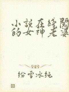 小说在线阅读我的女神老婆