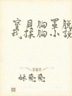 宝贝胸罩脱了让我揉胸小说封面