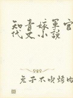 知青嫁军官的年代文小说