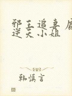 邪王追妻 废材逆天小姐