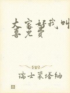 大家好我叫林小喜免费封面