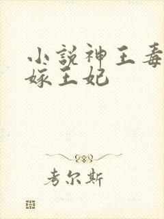 小说神王毒宠二嫁王妃
