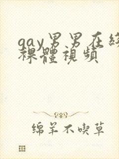 gay男男在线裸体视频