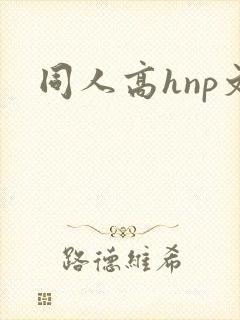 同人高hnp文