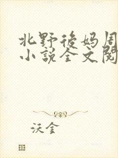 北野后妈周继烨小说全文阅读封面