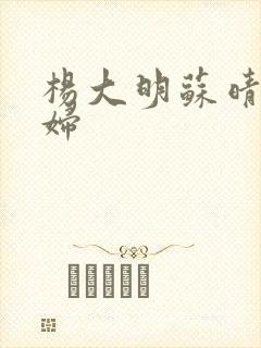 杨大明苏晴儿媳妇