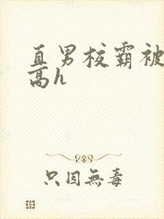 直男校霸被啪哭高h封面