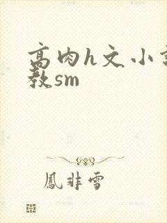 高肉h文小说调教sm