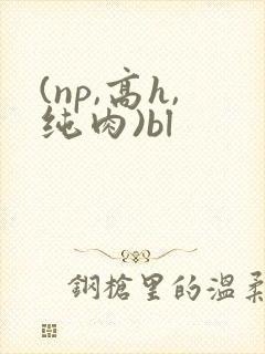 (np,高h,纯肉)bl