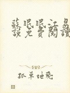 苏眠眠江易淮小说免费阅读