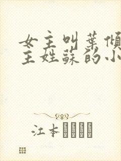 女主叫叶倾城男主姓苏的小说封面