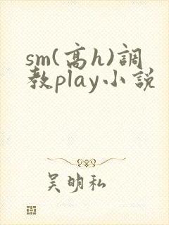sm(高h)调教play小说