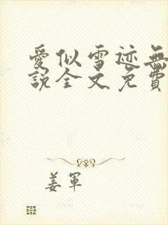 爱似雪迹无声小说全文免费阅读