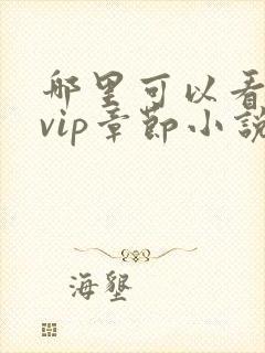 哪里可以看飞卢vip章节小说