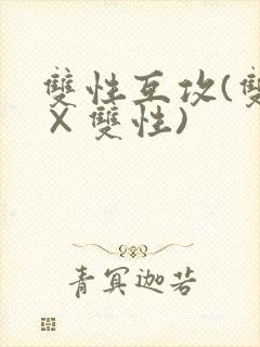 双性互攻(双性×双性)