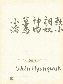 小草神调教喷水沦为肉奴小说