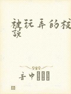 被玩弄的校花小说封面