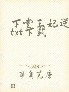 下堂王妃逆袭记txt下载