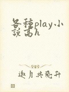 各种play小说高h