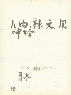 h肉,辣文用力呻吟