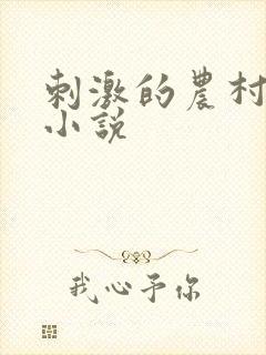 刺激的农村性事小说