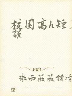 校园高h短篇小说