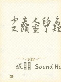 少夫人的乌鸦嘴又显灵了短剧免费观看