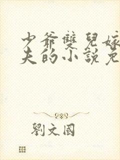 少爷双儿嫁给屠夫的小说免费阅读封面