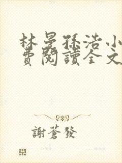 林曼孙浩小说免费阅读全文最新章节