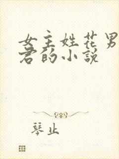 女主姓花男主姓君的小说