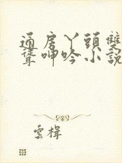 通房丫头双乳高耸呻吟小说封面