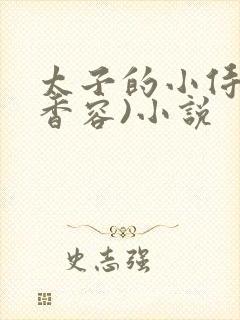 太子的小侍妾(香容)小说