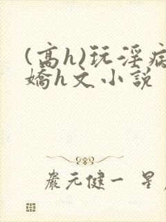 (高h)玩淫病娇h文小说