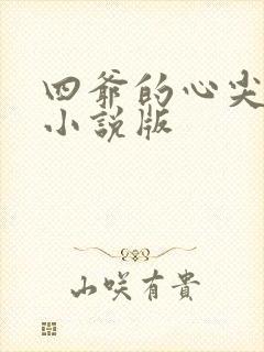 四爷的心尖宠妃小说版封面