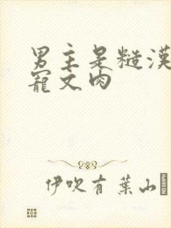 男主是糙汉的甜宠文肉