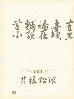 首辅娇妻有空间小说在线免费阅读封面