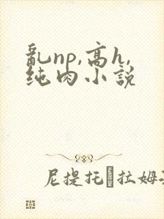 乱np,高h,纯肉小说