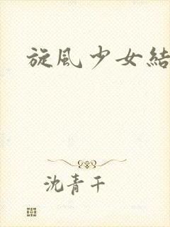 旋风少女结局封面