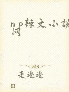 n p辣文小说网封面