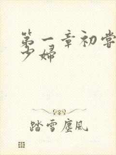 第一章初尝极品少妇