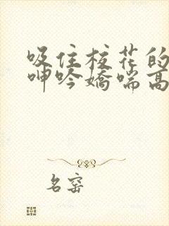 吸住校花的奶头呻吟娇喘高潮