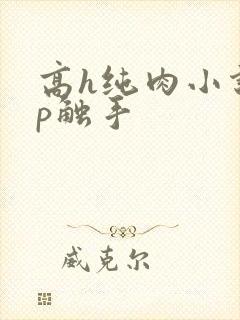 高h纯肉小说np触手封面